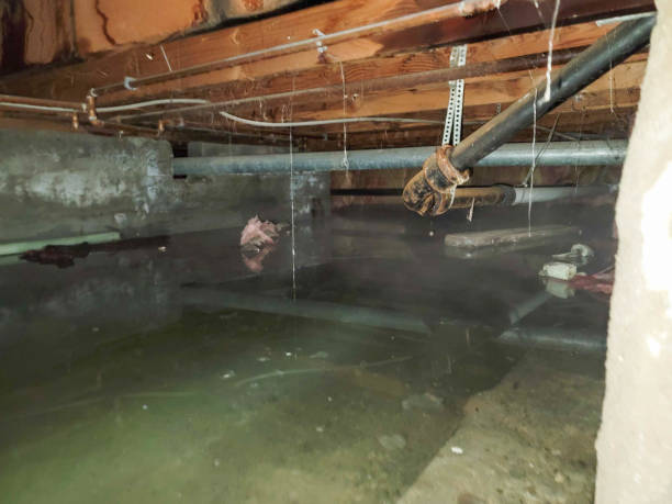 Best Basement water damage restoration  in Zion, PA