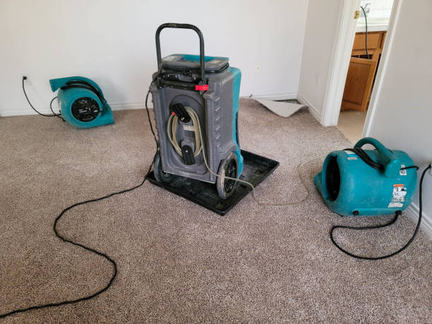 Professional Water damage restoration in Zion, PA