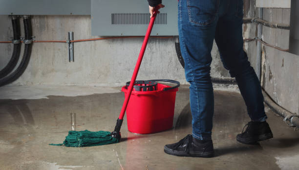 Best Local water damage restoration  in Zion, PA