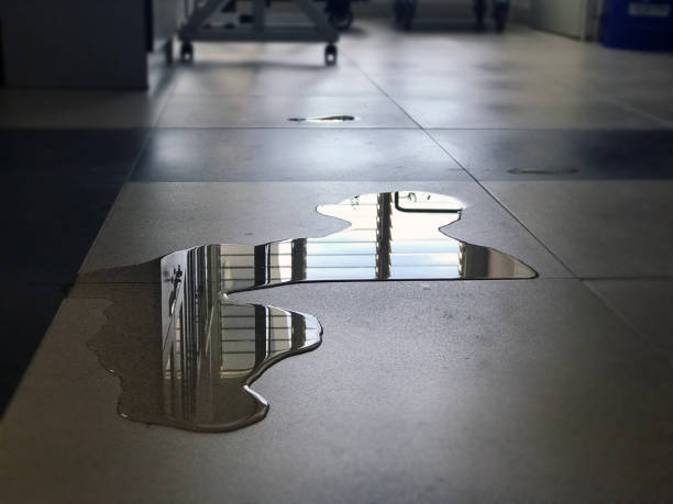 Best Water damage restoration services  in Zion, PA