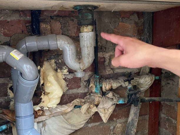 Best Ceiling water damage repair  in Zion, PA
